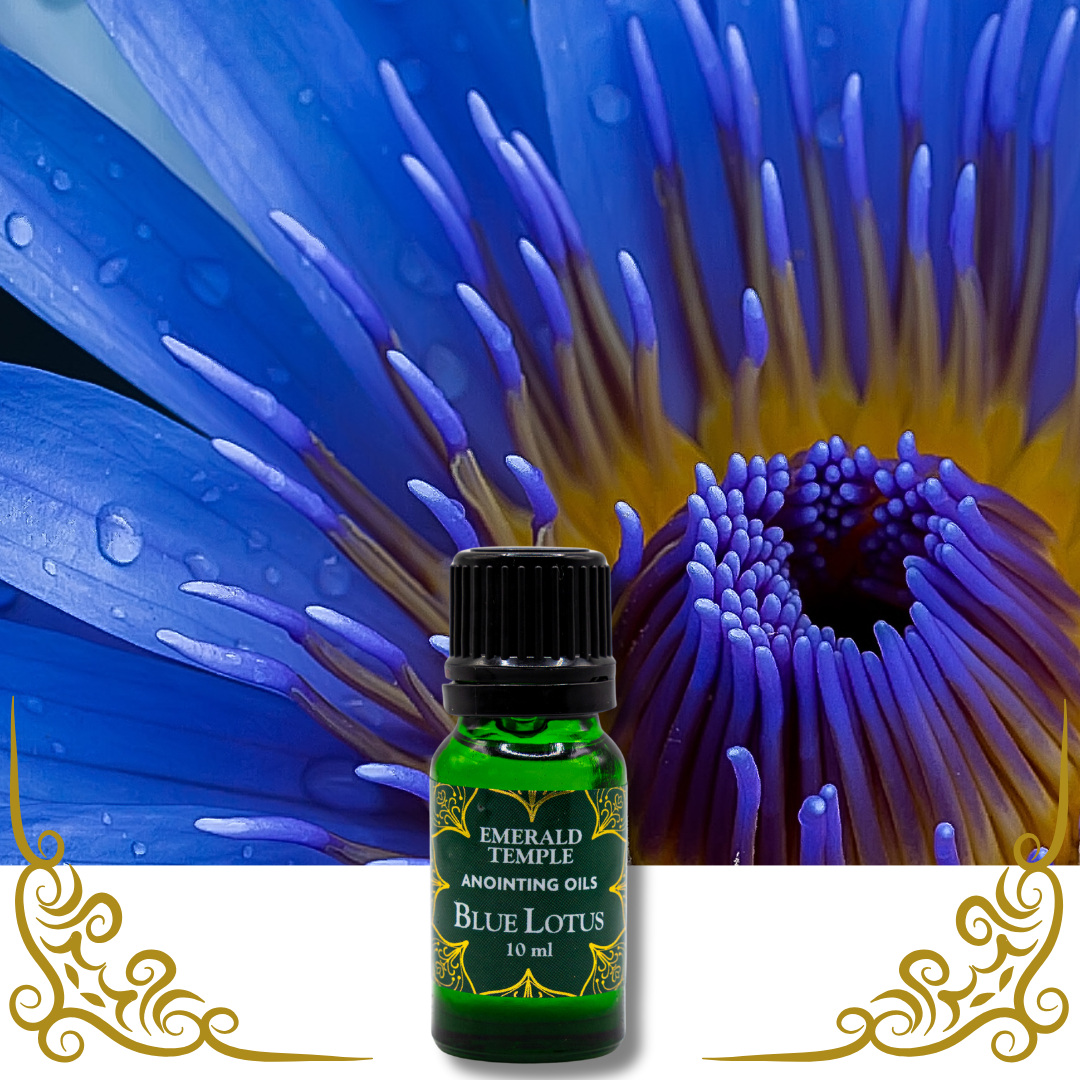 Blue Lotus: The Visionary Transporter – Emerald Temple